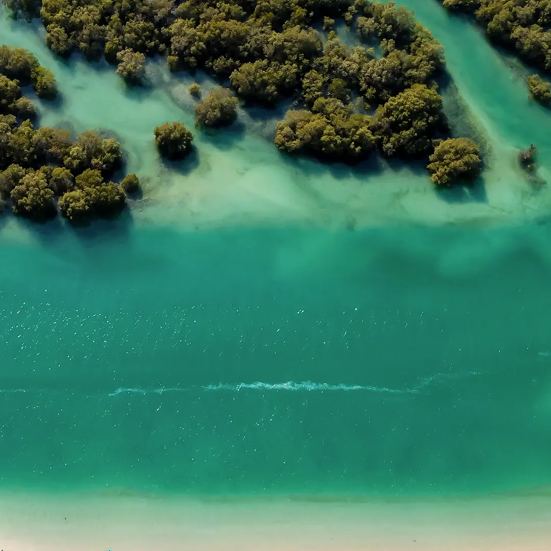 IFZA Cares, creating sustainable impact